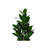 Artificial Plant