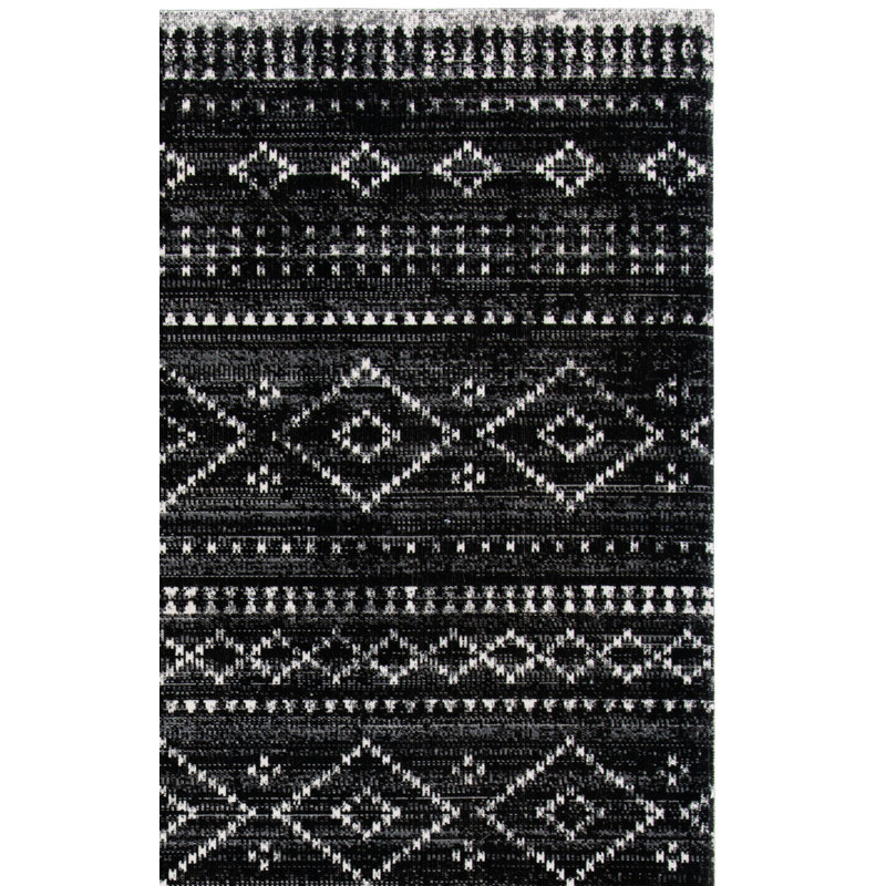 Tapis intérieur / extérieur Ragnar 200 Performance Southwestern, Rectangle 8 pi x 10 pi