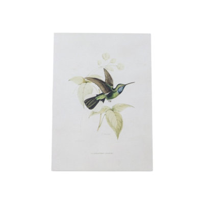 Ensemble de quatre décorations murales colibri blanc