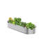Self-Watering Metal Raised Garden Bed-24111825