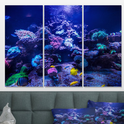 « aquarium récif tank », reproduction de photo à multiples images sur toile tendue