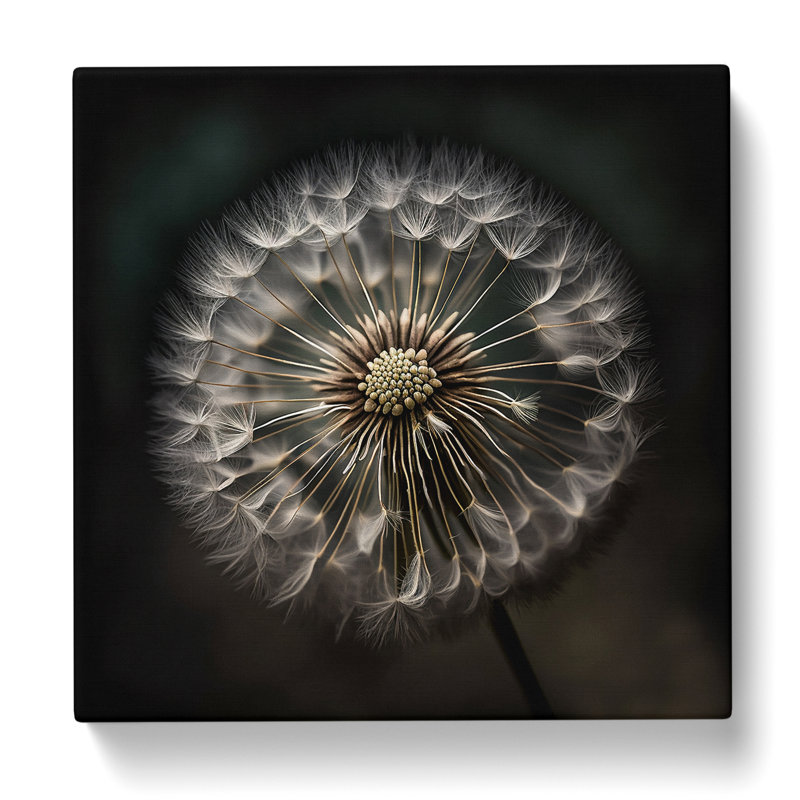 Dandelion Photograph - Print, 50cm H x 50cm W x 3cm D