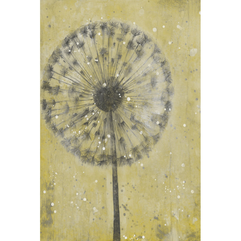 Dandelion Abstract II by Timothy O' Toole - Wrapped Canvas Print, 30cm H x 20cm W x 3.8cm D