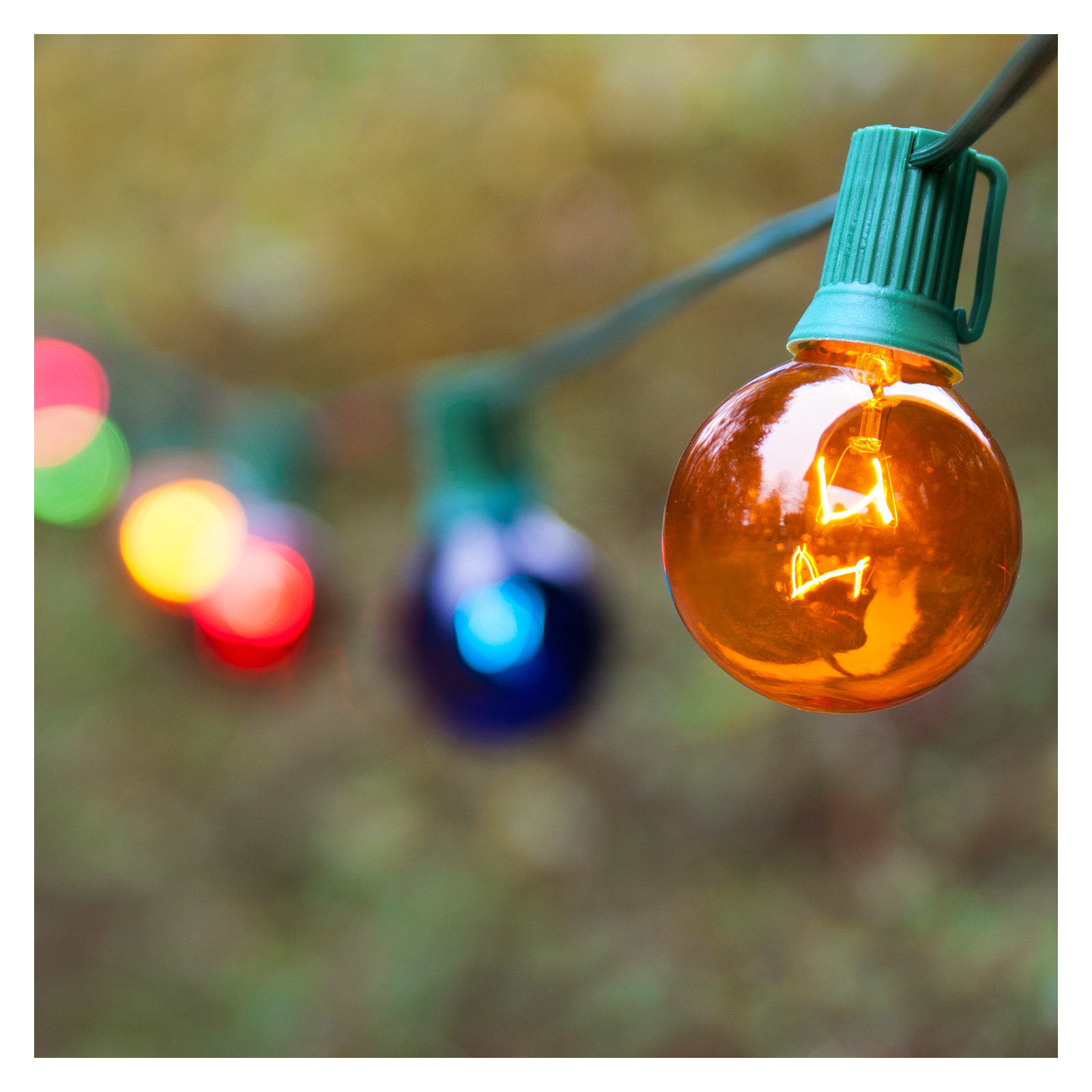 300'' Globe String Lights
