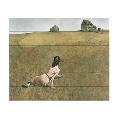 " Christina'S World " by Andrew Wyeth