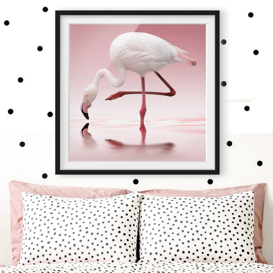 Gerahmtes Poster Flamingo Dance