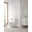 Essence 1.28/1.0Gpf Dual Flush Toilet Tank Only