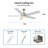 Jelisavka 52'' Ceiling Fan with LED Lights