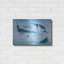 «Ocean Adventure Collection A» par Grace Popp-341035142
