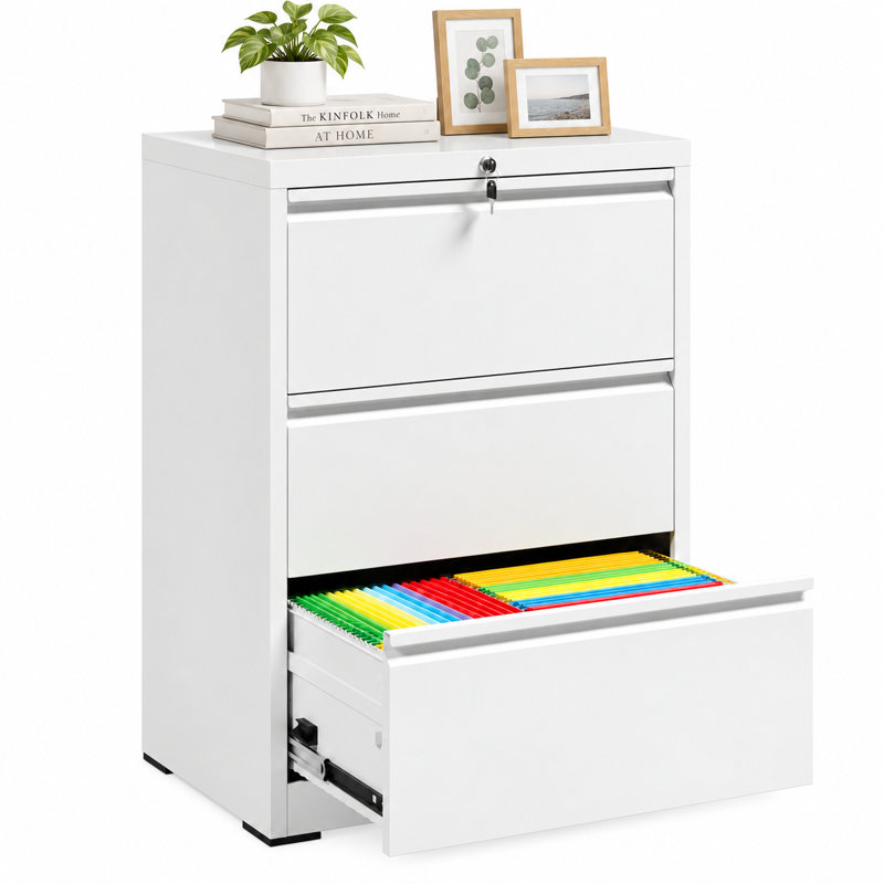 Classeur latéral en métal 2 tiroirs Bizoe, Blanc, 2 Drawers