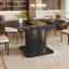 Extendable Dining Table-1660926262
