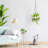 Ephratah Metal Hanging Planter
