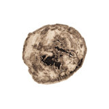 Slice Area Rug