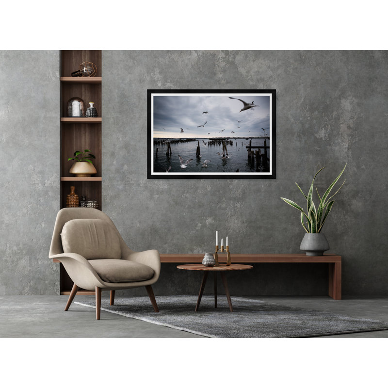Gull Gathering - Photographie avec cadre photo