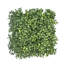 Set Of 24 Boxwood Mats-123761102