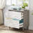2-Drawer File Cabinet, Lateral Filing Cabinet for A4/Letter/Legal Size, Office Storage Cabinet, Printer Stand with Storage Drawer for Home Office, White & Gray