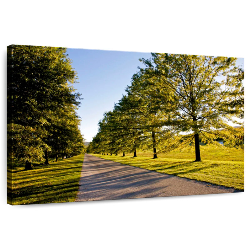 Alvord Bunny Roadside Trees