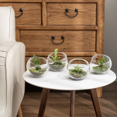 4-Piece Decorative Glass DÃ©cor Terrariums Candle Holders Set