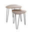 Hueramo 2 Piece Side Table Set-1764532227