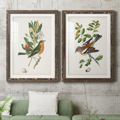 Oiseau antique, botanique et œuf I - ensemble de 2 reproductions d'art sur papier encadré