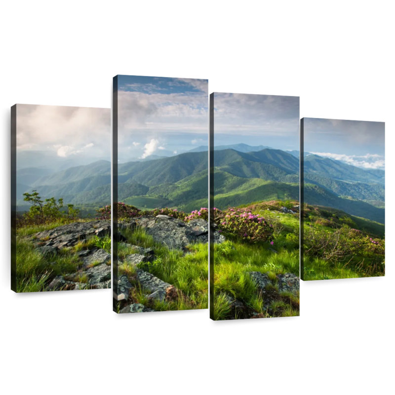 Alvord majestueux Blue Ridge Mountains, H 27 po x l 43 po