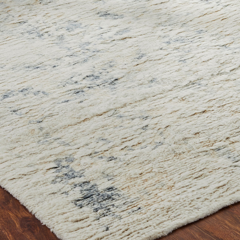 Dermando Hand Knotted Wool Abstract Area Rug, Rectangle 4' x 6'