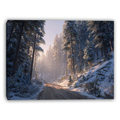 Art mural sur toile Foggy Forest Ridge