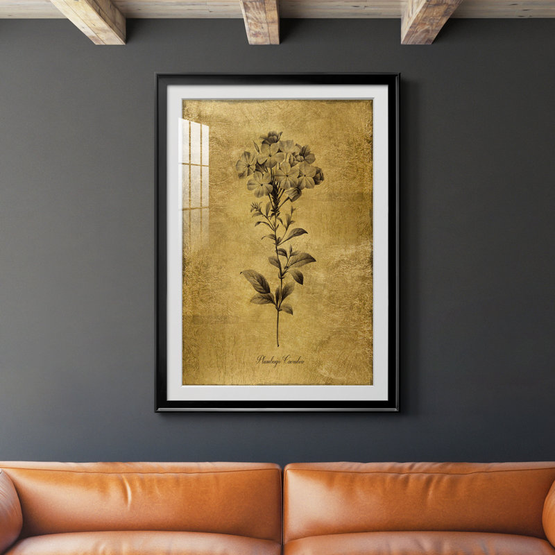 Reproduction d'art encadrée dorée Botanical II, H 36,5 po x l 26,5 po x P 1,5 po, Noir