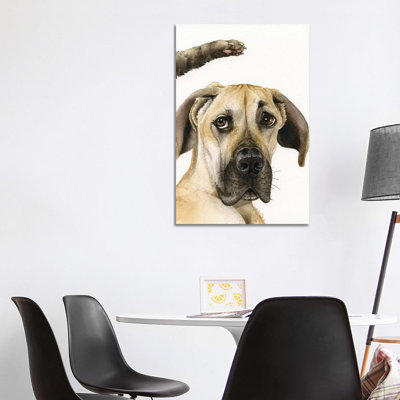 Not Again! by Tracy Lizotte - Gallery-Wrapped Canvas Giclée on Canvas