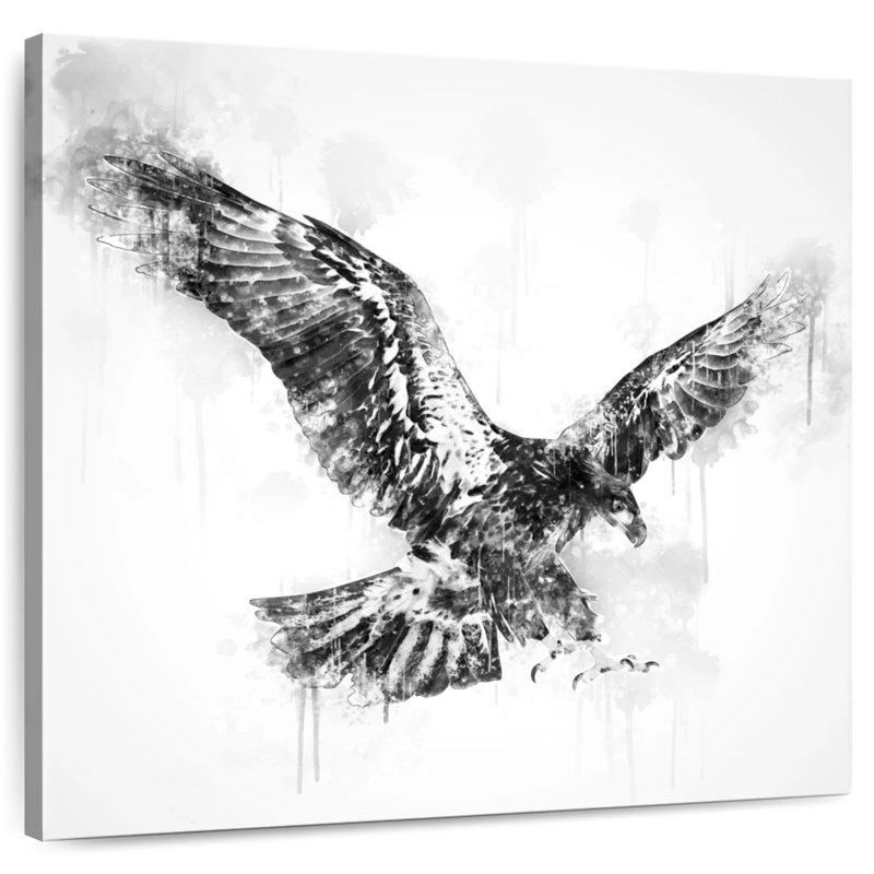 Brampt Eagle Flying Black And White