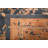 Oriental Indoor Rug