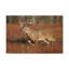 No Frame Print on Canvas-2040435544