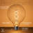5 W G125 E26/Medium (Standard) Dimmable LED Bulb