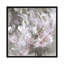 «Blushy and Splashy», impression sur toile-31294667-73203449-73203450