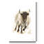 «Rustic Bull I», reproduction d'art sur toile tendue-1458976104