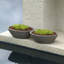Delano Planter-1196885459-1196885421