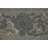 Wool Oriental Indoor Rug