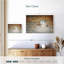 Chouette des neiges Brampt-108909189