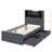 Danylle Twin Platform Bed Frame with 4 Open Shelves, 2 Storage Drawers and LED Light-1646557735