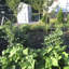 Support de plante galvanisé Bowermaster-27157352-27157358