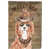 Cavapoo