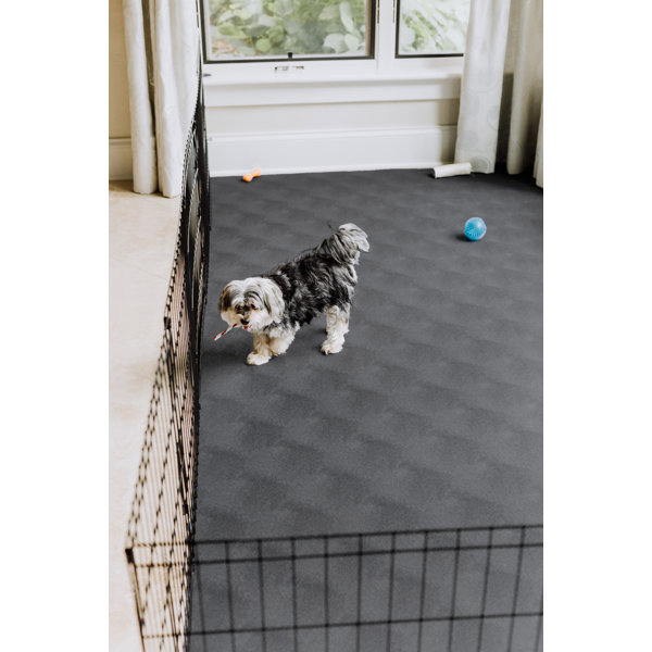 P-Tex Dog Crate Hard Floor Protection Mat, Clear Polycarbonate, Rectangular