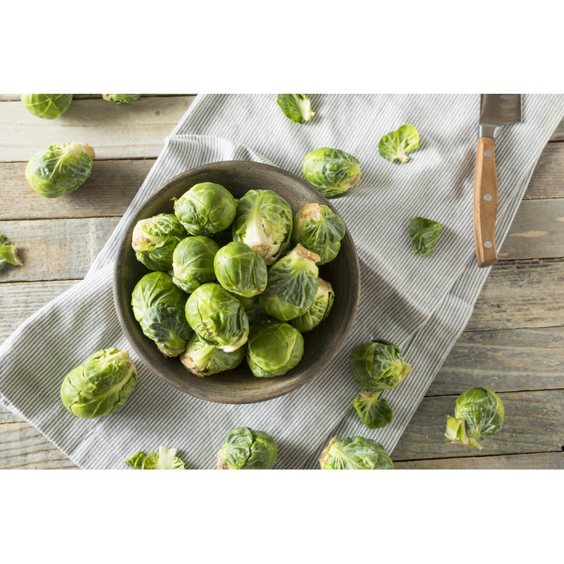 Choux de Bruxelles verts - photographie sur toile tendue, H 8 po x l 12 po