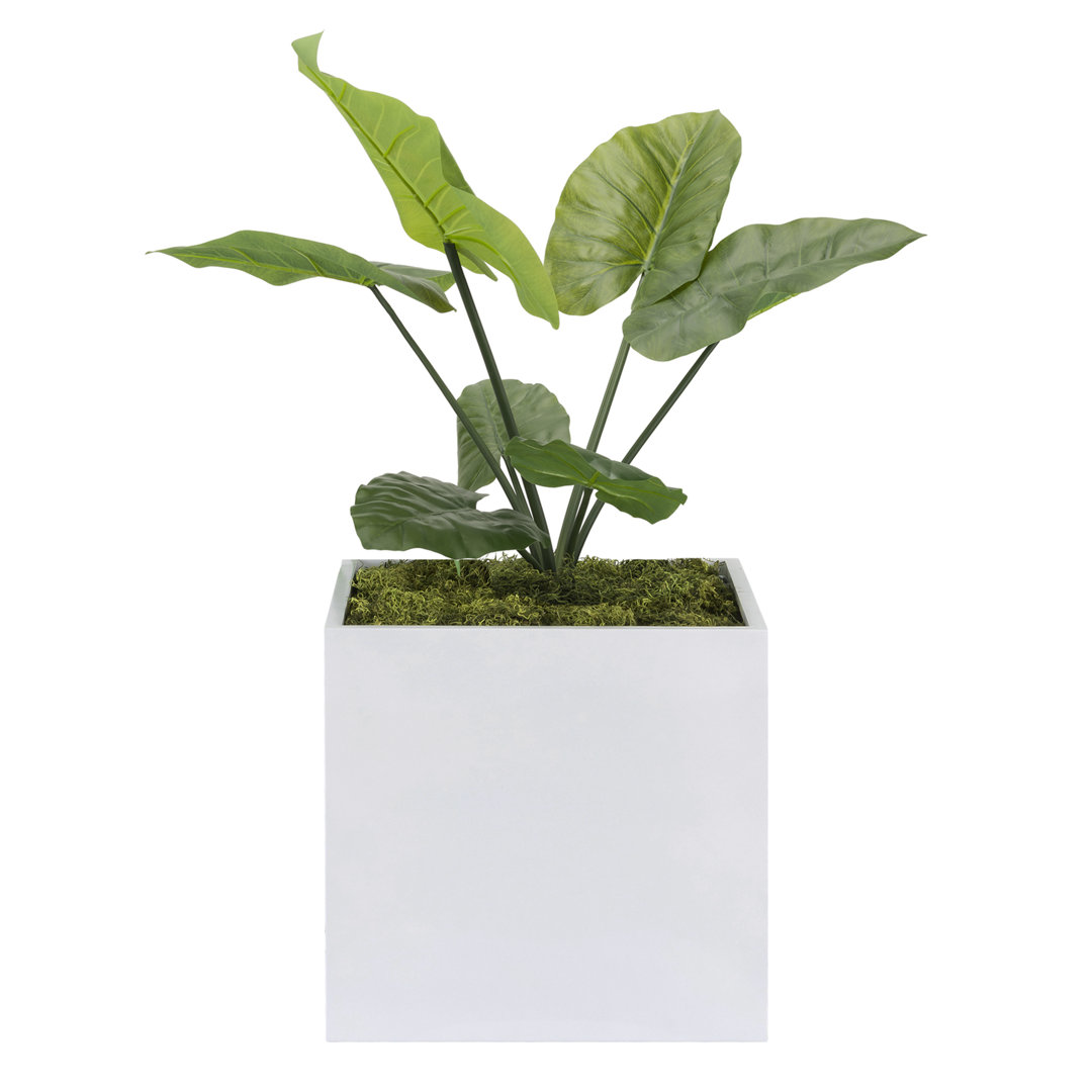 Lorsworth Planter Box Wrought Studio™ 