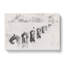 Perched Pigeons Watercolour - Wrapped Canvas-56659213