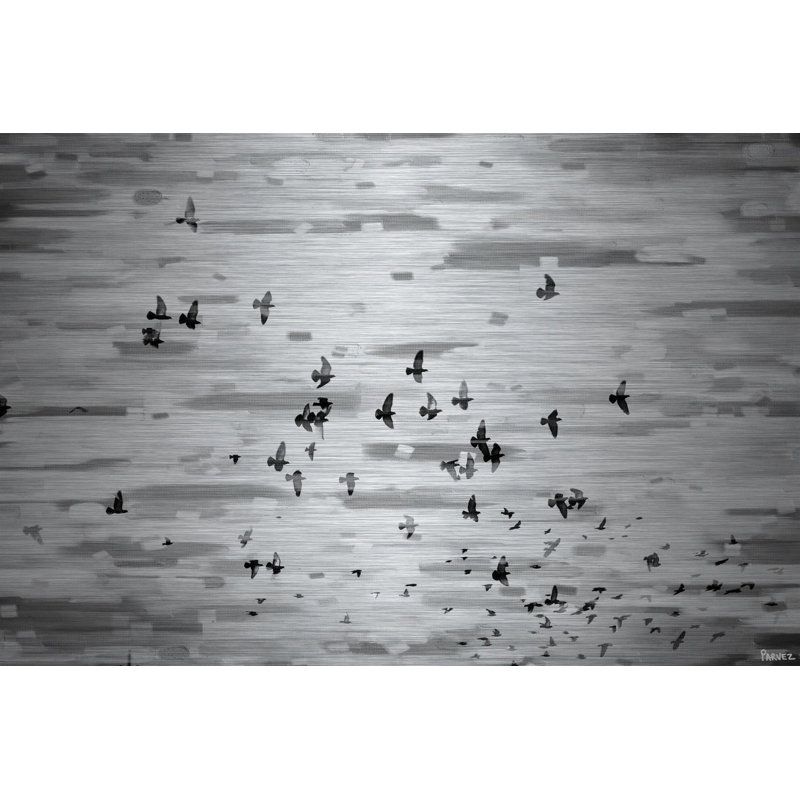 «Birds In Flight» par Parvez Taj, reproduction sur métal, 24 po x 36 po