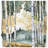 Birch Tree Forest Landscape Bedding Forest Bedspread Nature-125233548