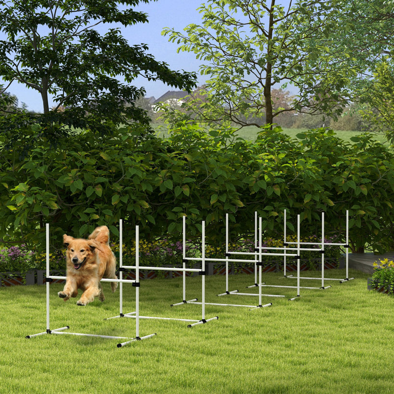 Équipement de dressage d'agilité pour chien Pawhut