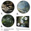 «Gentle River Through Country Charm Forest», art mural forêt fluviale-1395651093-1395651183