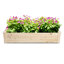 Lit de jardin surélevé en bois 4 pi x 2 pi